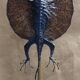 Cabinet of Curiosities globe 19th century flying lizard draco fimbriatus