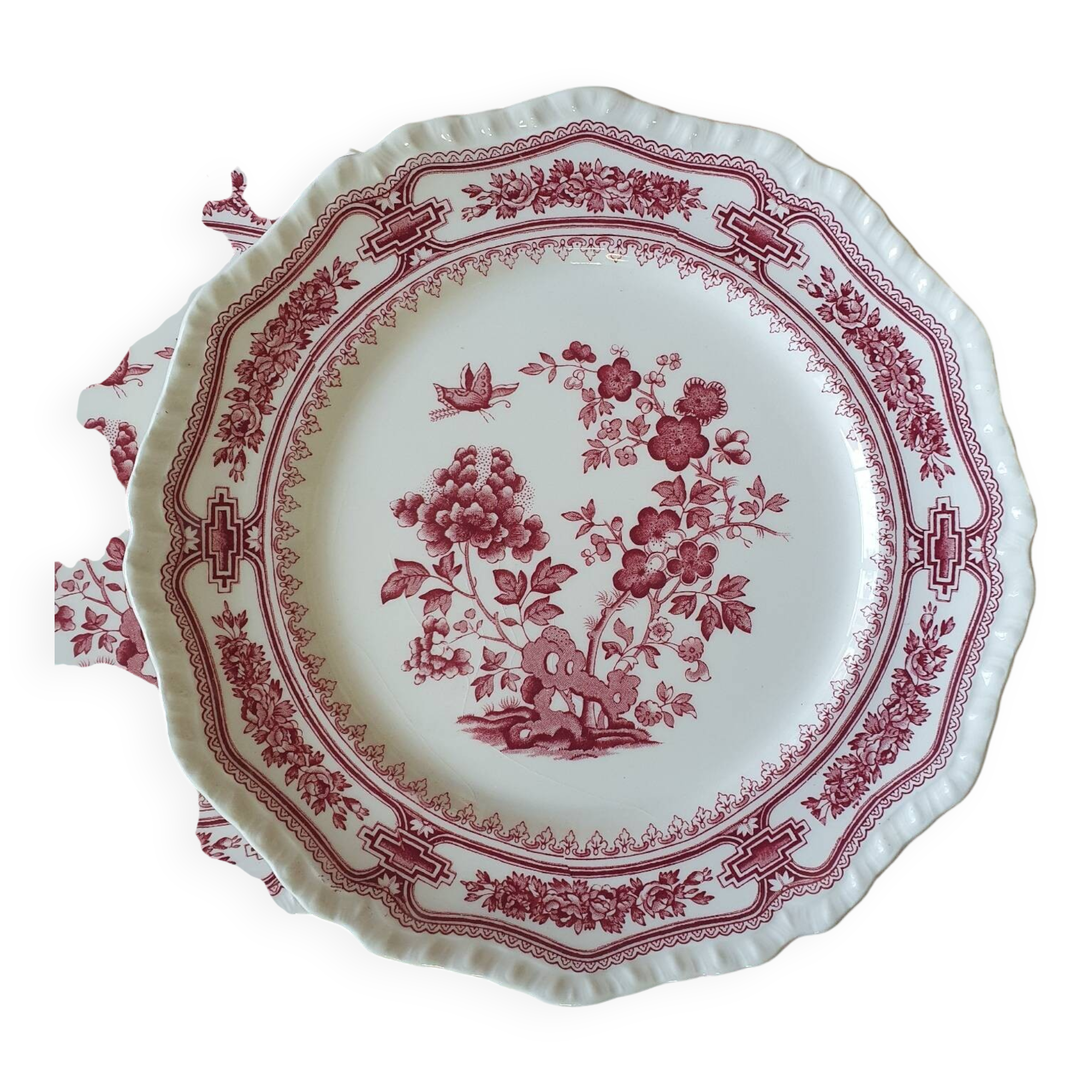 12 Mason's dinner plates