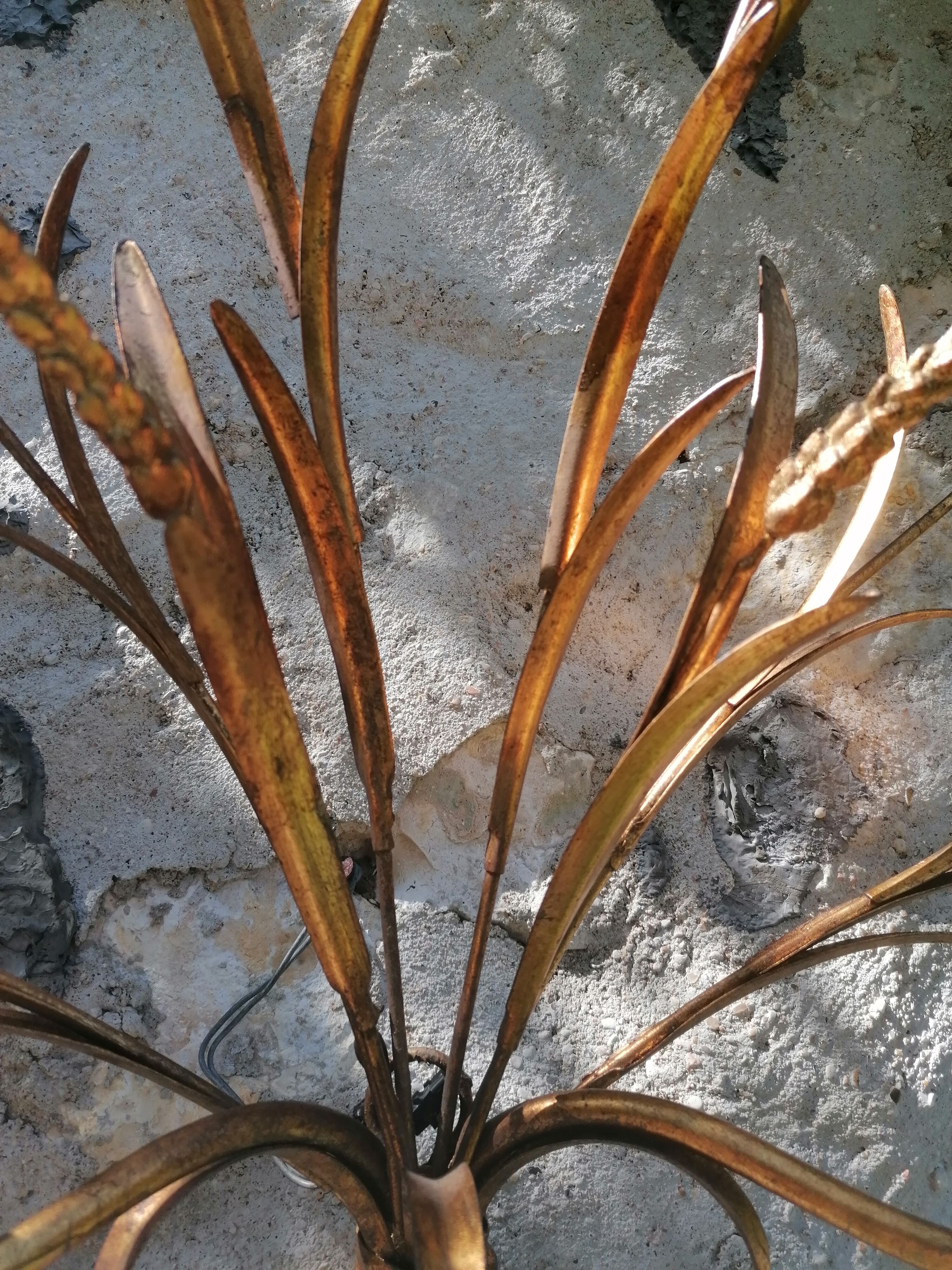 Applies in ears of ble