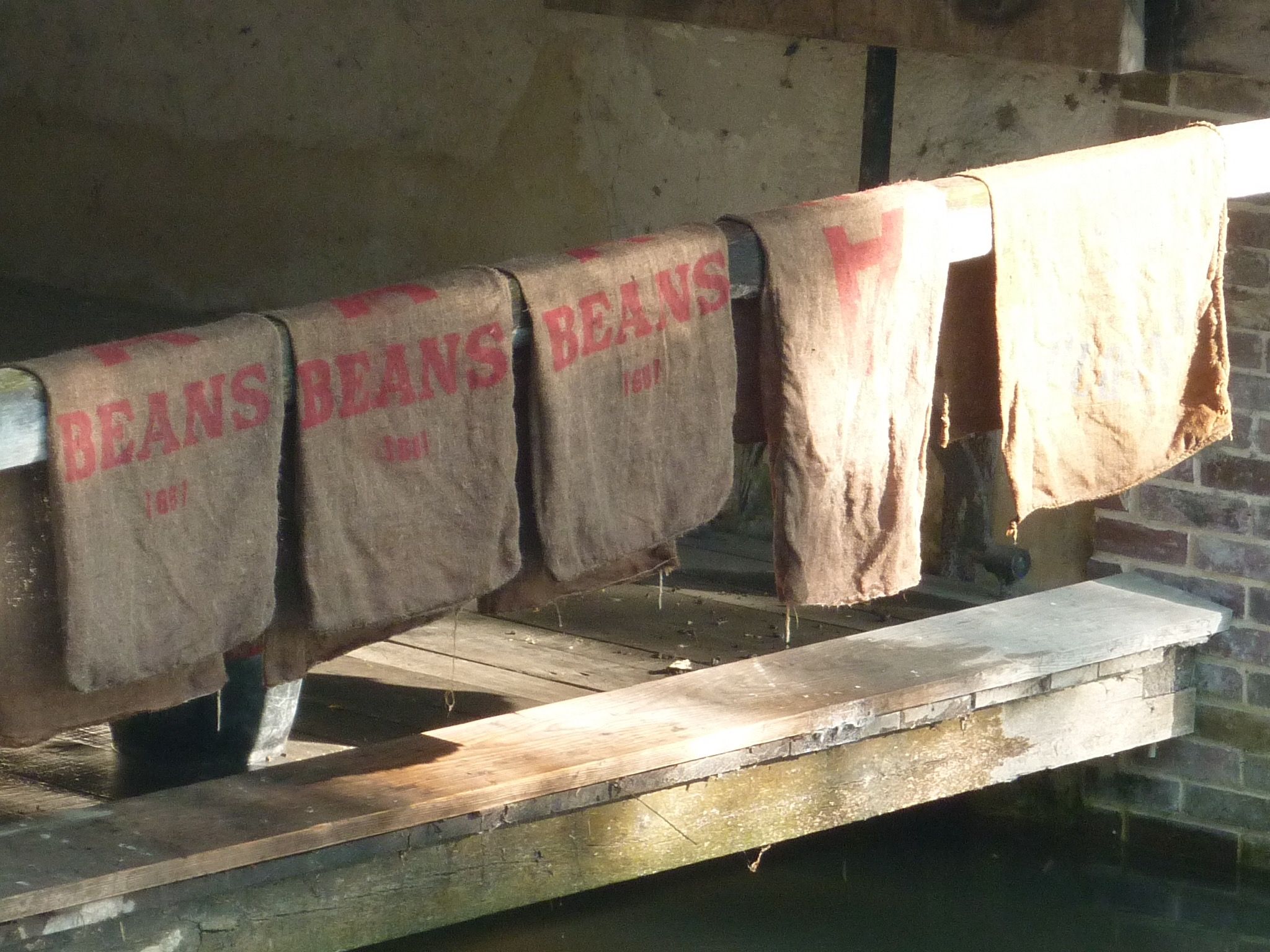 Transport of beans in Burlap bag