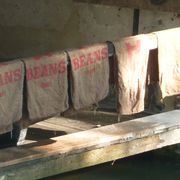 Transport of beans in Burlap bag