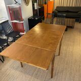 Dining table TB24 Cees Braakman for Pastoe