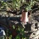 Brushed red copper watering can vintage 60s/70s