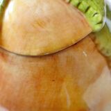 Apricot slip teapot