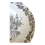 Dish bindweed Pexonne