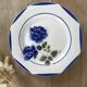 Blue & white mismatched flat plates