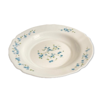 Arcopal dish forget-me-not