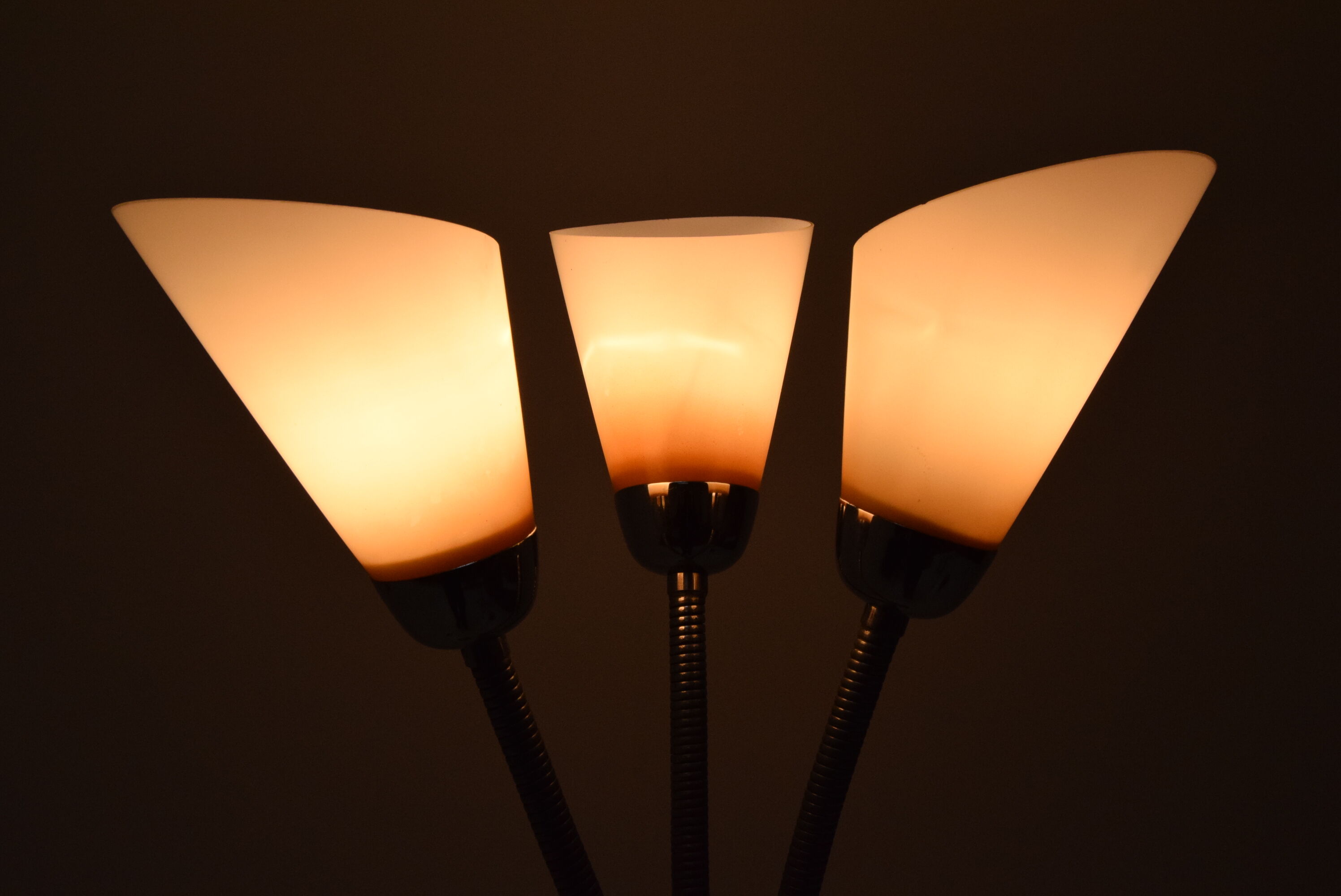 Mid-century Floor Lamp,Adjustable shades,1960's.