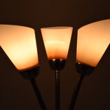 Mid-century Floor Lamp,Adjustable shades,1960's.
