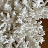 White coral bouquet