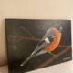 Bird painting on wood