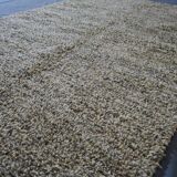 Handmade Mrirt rug 150/250cm