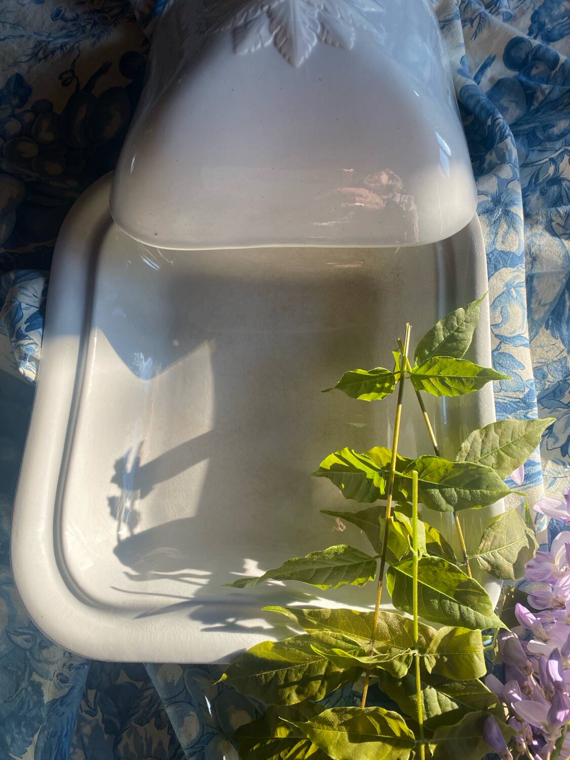 Large antique Villeroy and Boch porcelain dome dish