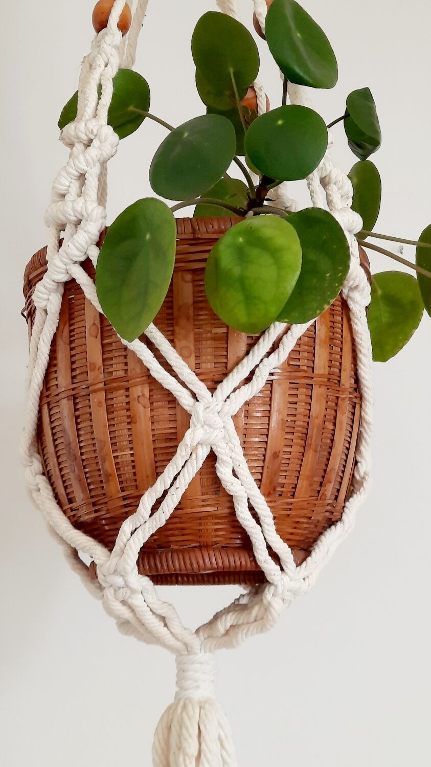 Suspension in macrame plant holder