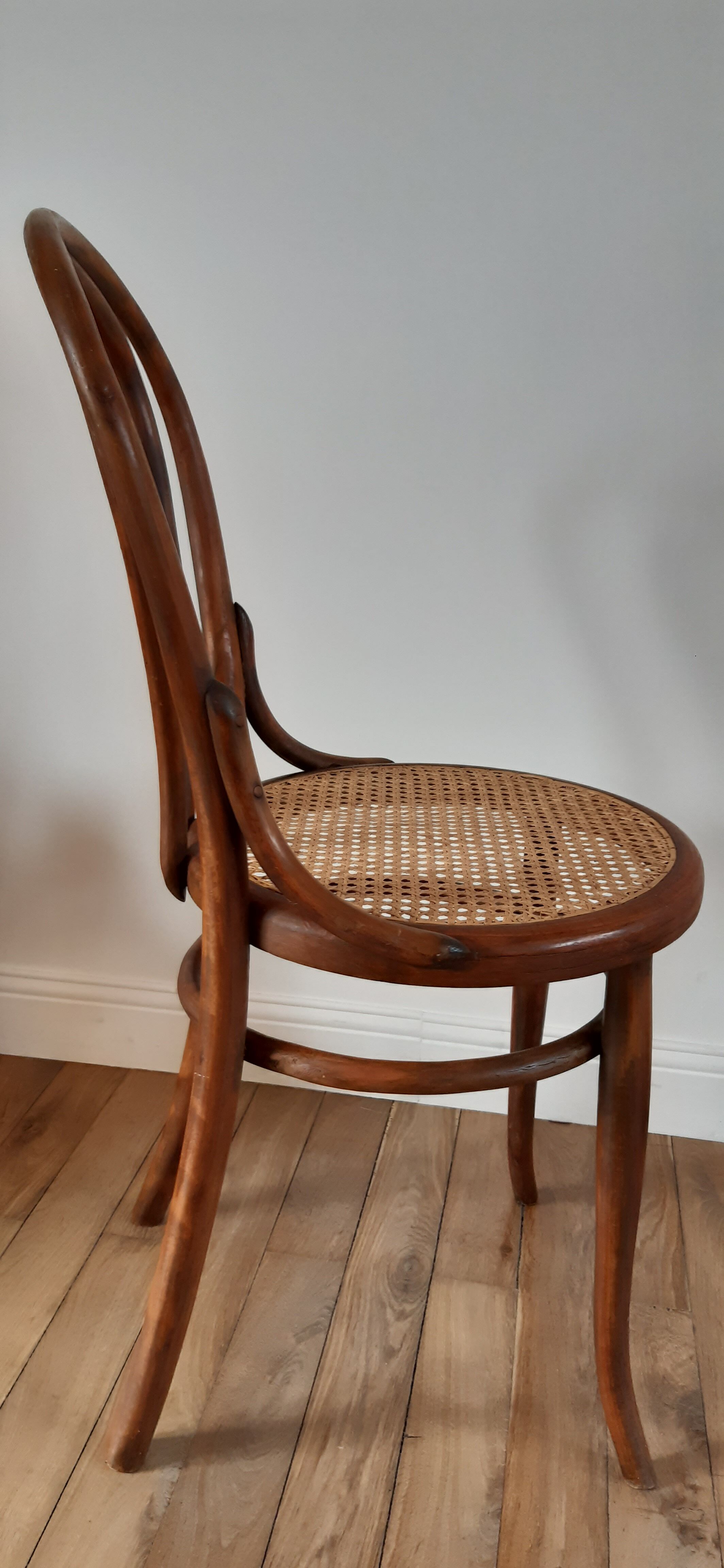 Chair in bentwood and canning XIXth