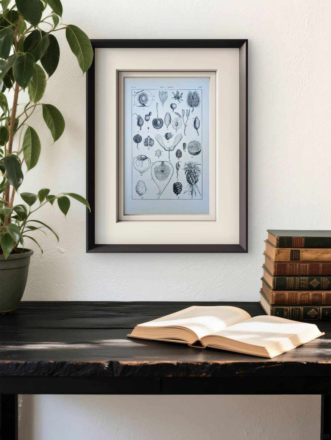 Printed in 1889, fruits and seeds. Antique botanical plate.