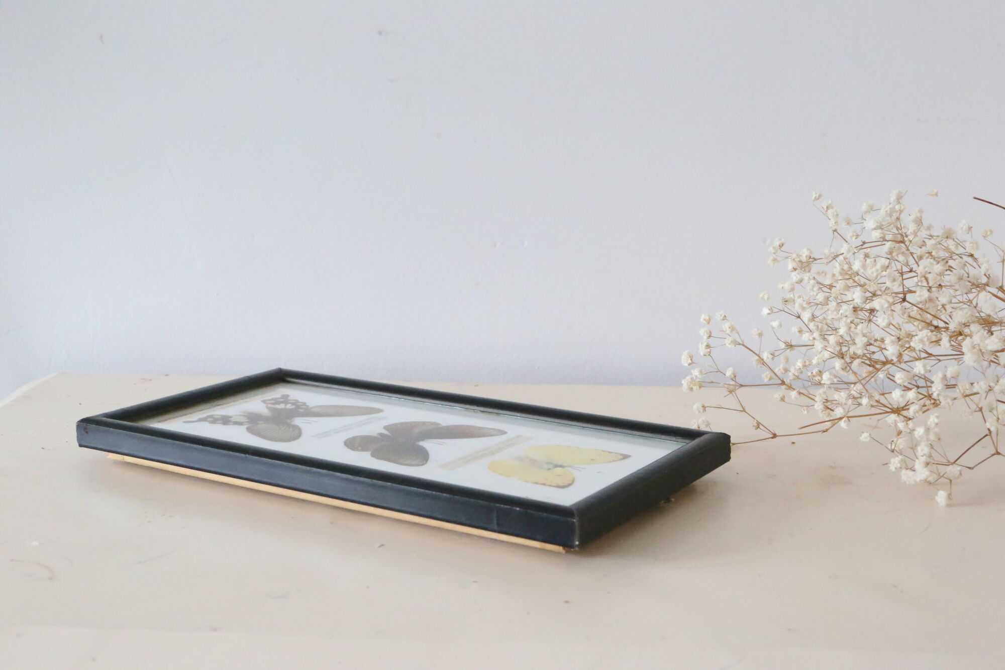 Naturalized butterfly frame