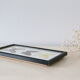 Naturalized butterfly frame