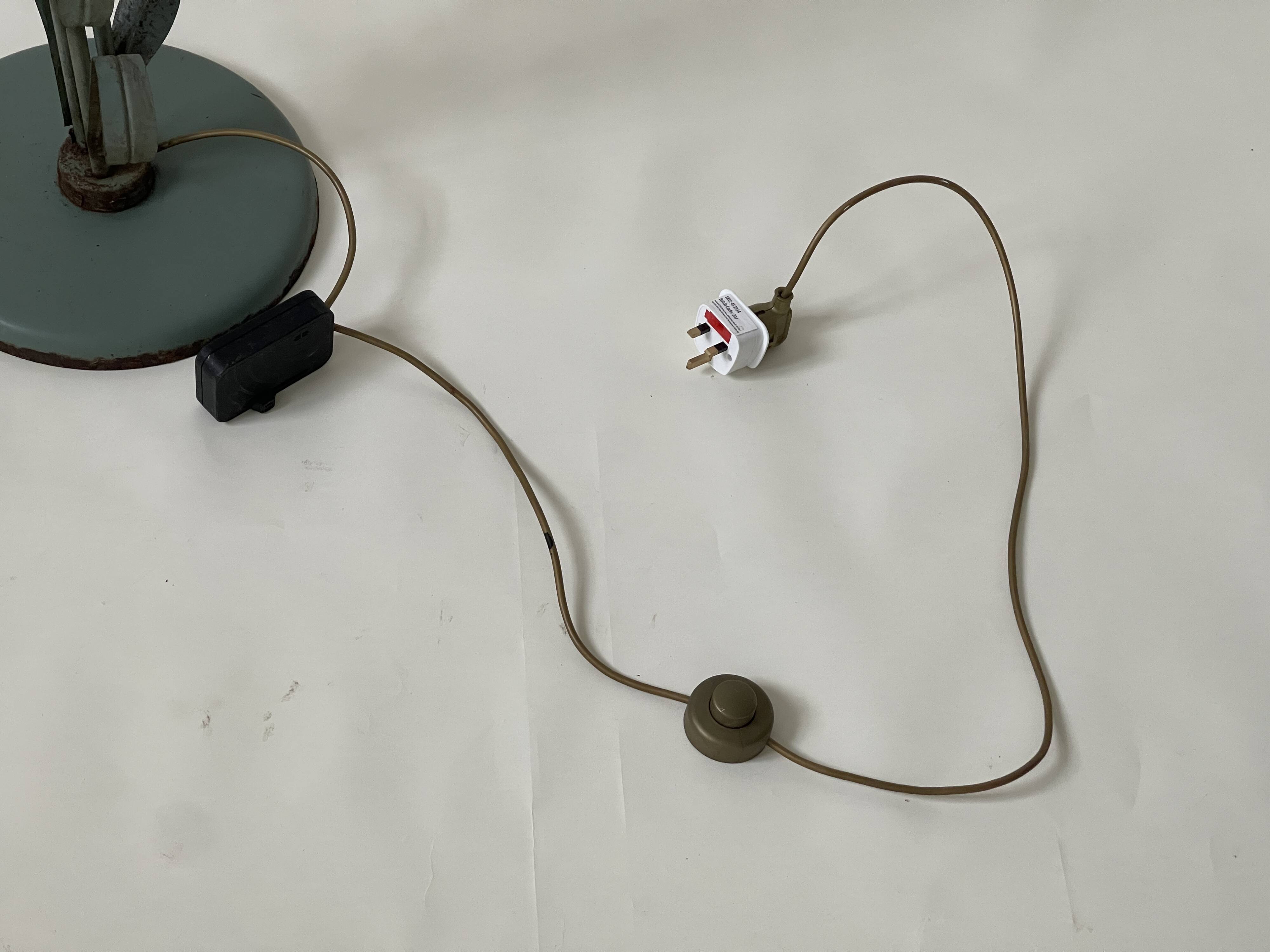 French Art Nouveau Floor Lamp