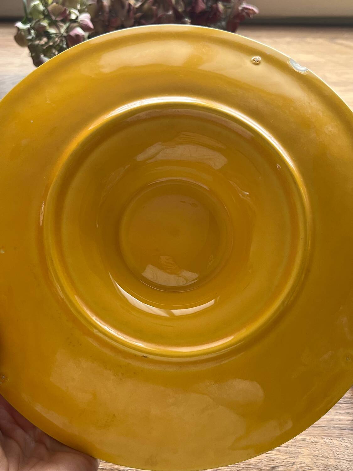 Earthenware shell plates