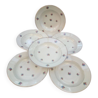 6 Savoie soup plates / Moulin des loups