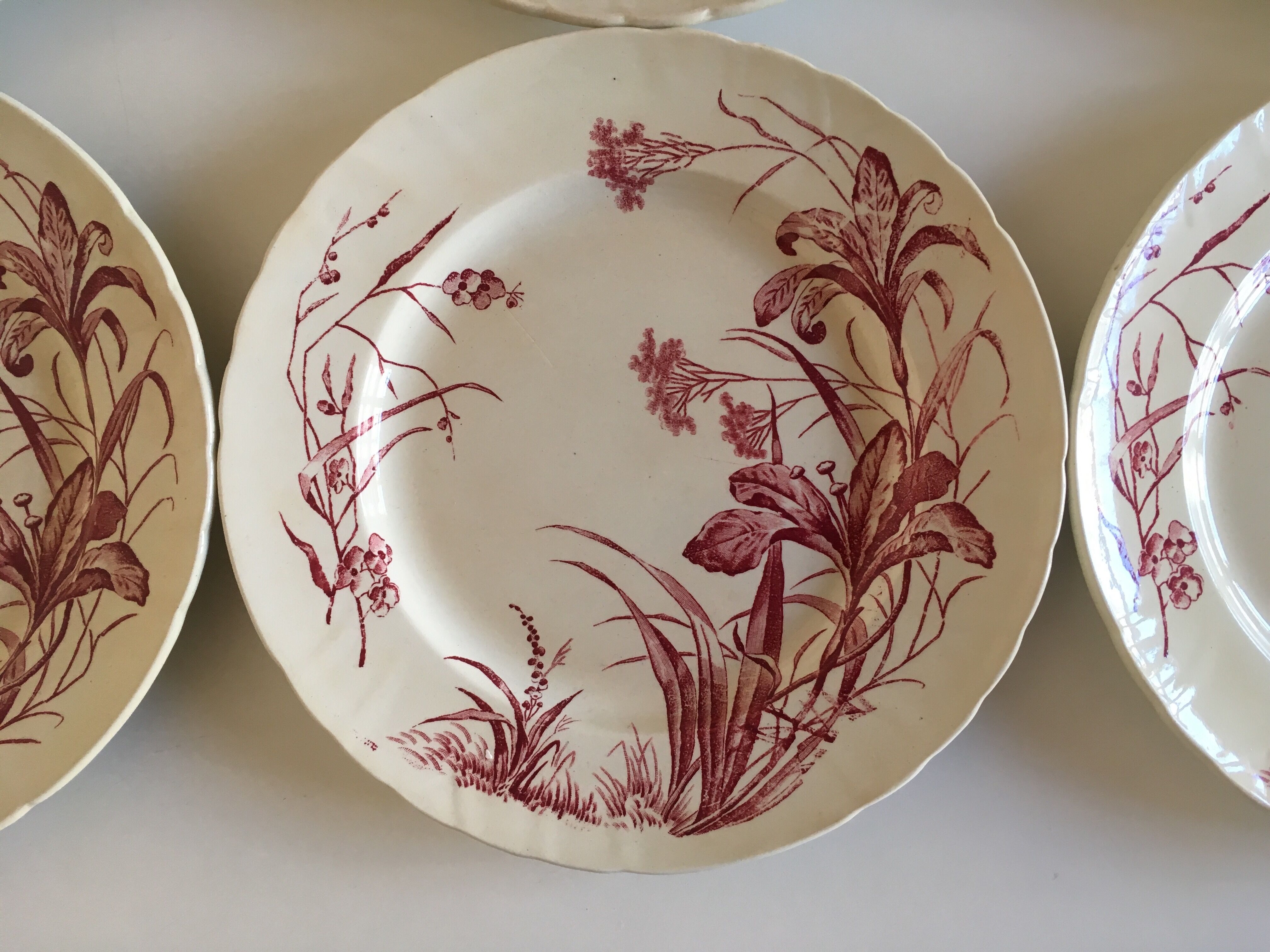 Flat plates J Vieillard Bordeaux, 1850