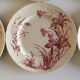 Flat plates J Vieillard Bordeaux, 1850