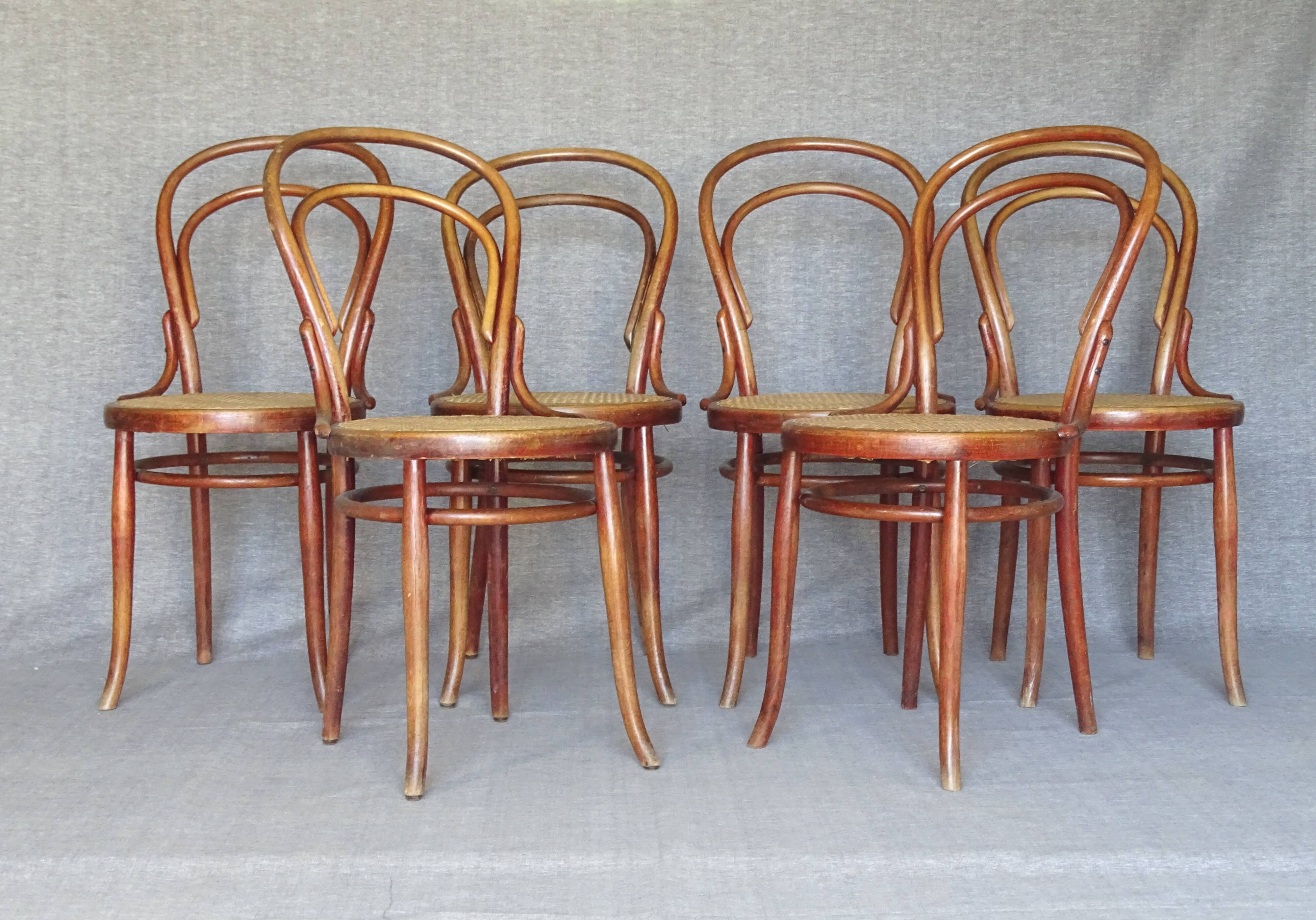 6 bistro chairs N° 14 canned, by Turpe Dresden 1890