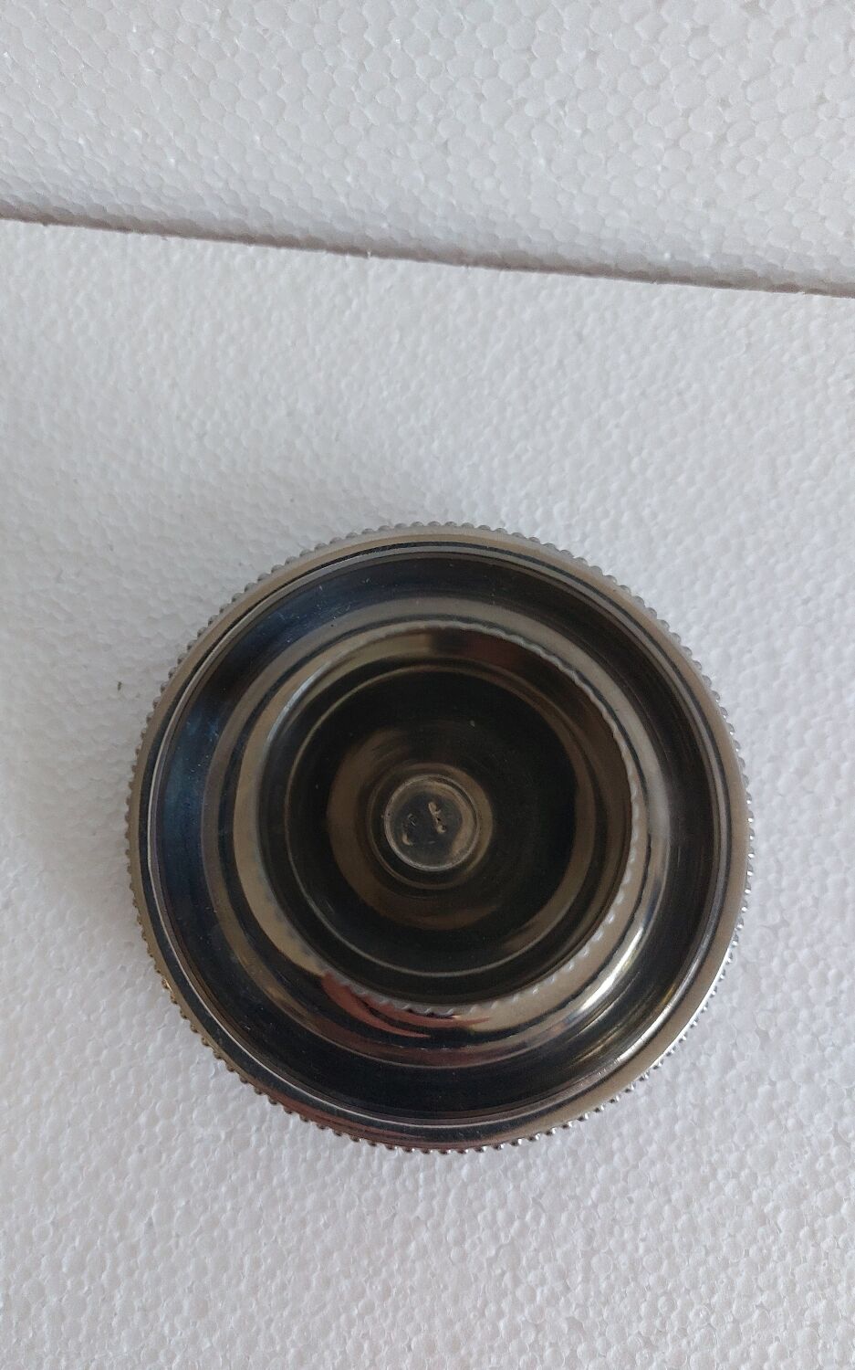 Duo of cockroaches, metal.