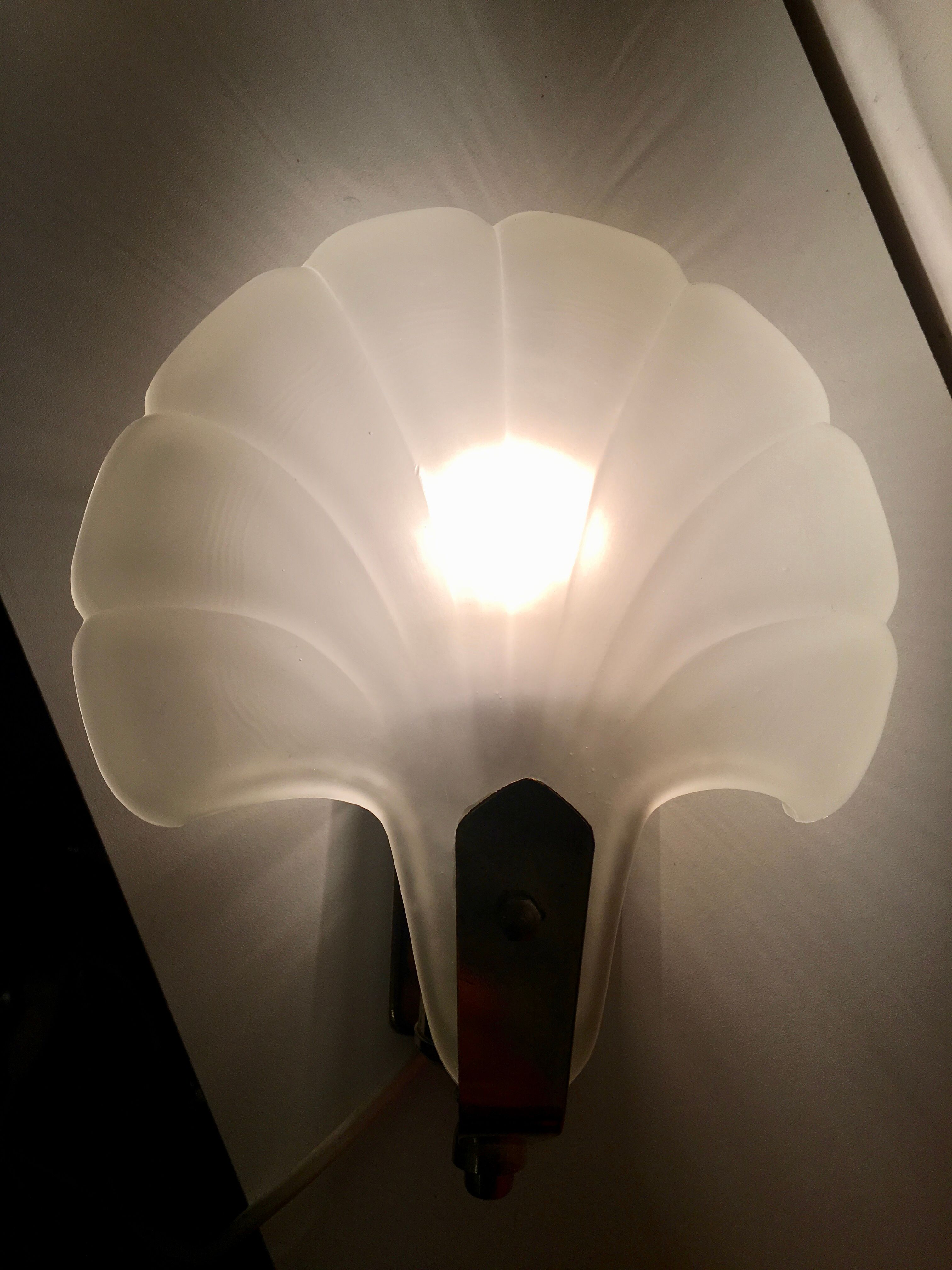 Shell wall lamp