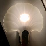 Shell wall lamp