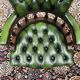 Fauteuil capitaine Chesterfield vert anglais classique