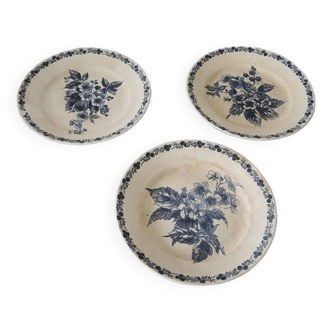 3 old flat plates in iron earth longchamp : blackberries
