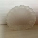 Empty scallop shell baguier