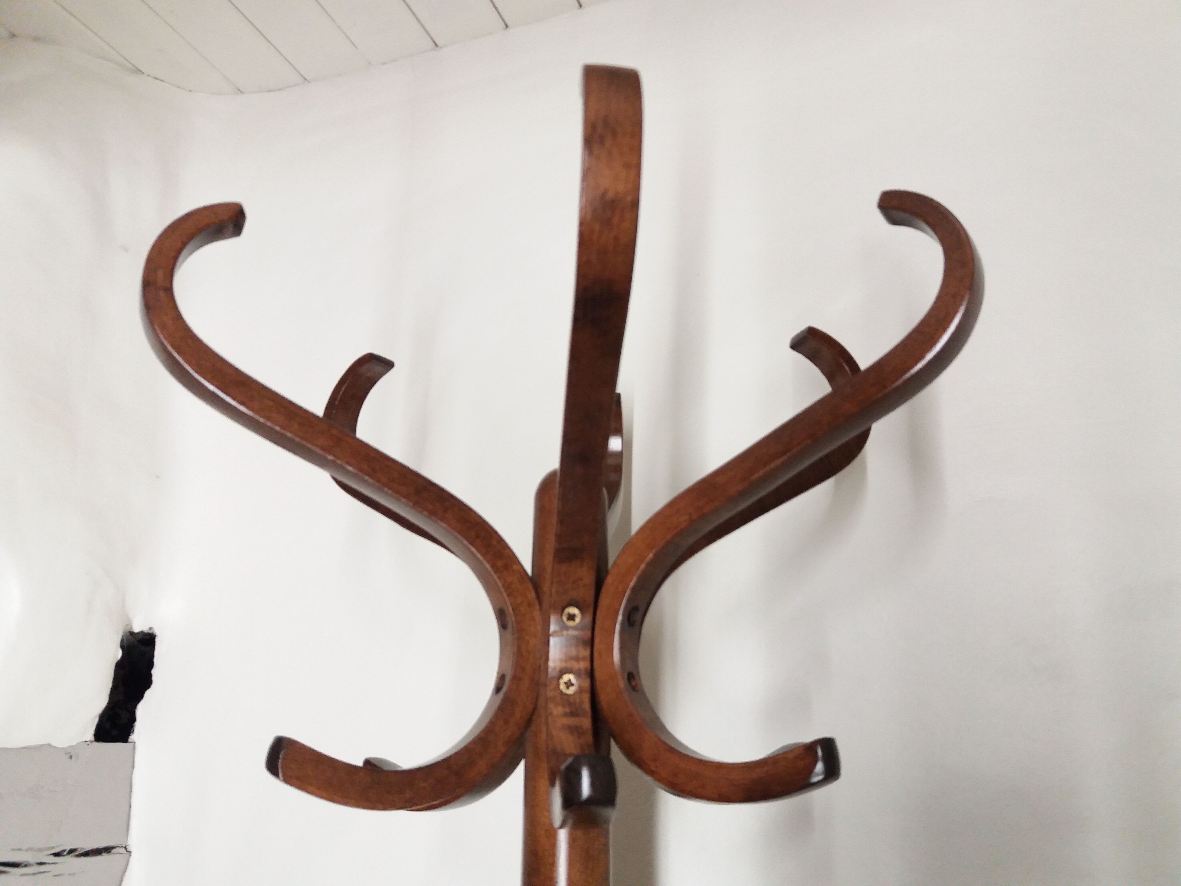 Baumann parrot coat holder