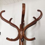 Baumann parrot coat holder