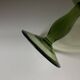 Set de 5 verres XL tulipe soufflés vert romarin