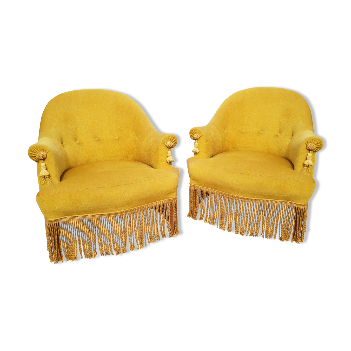 Paire de crapauds