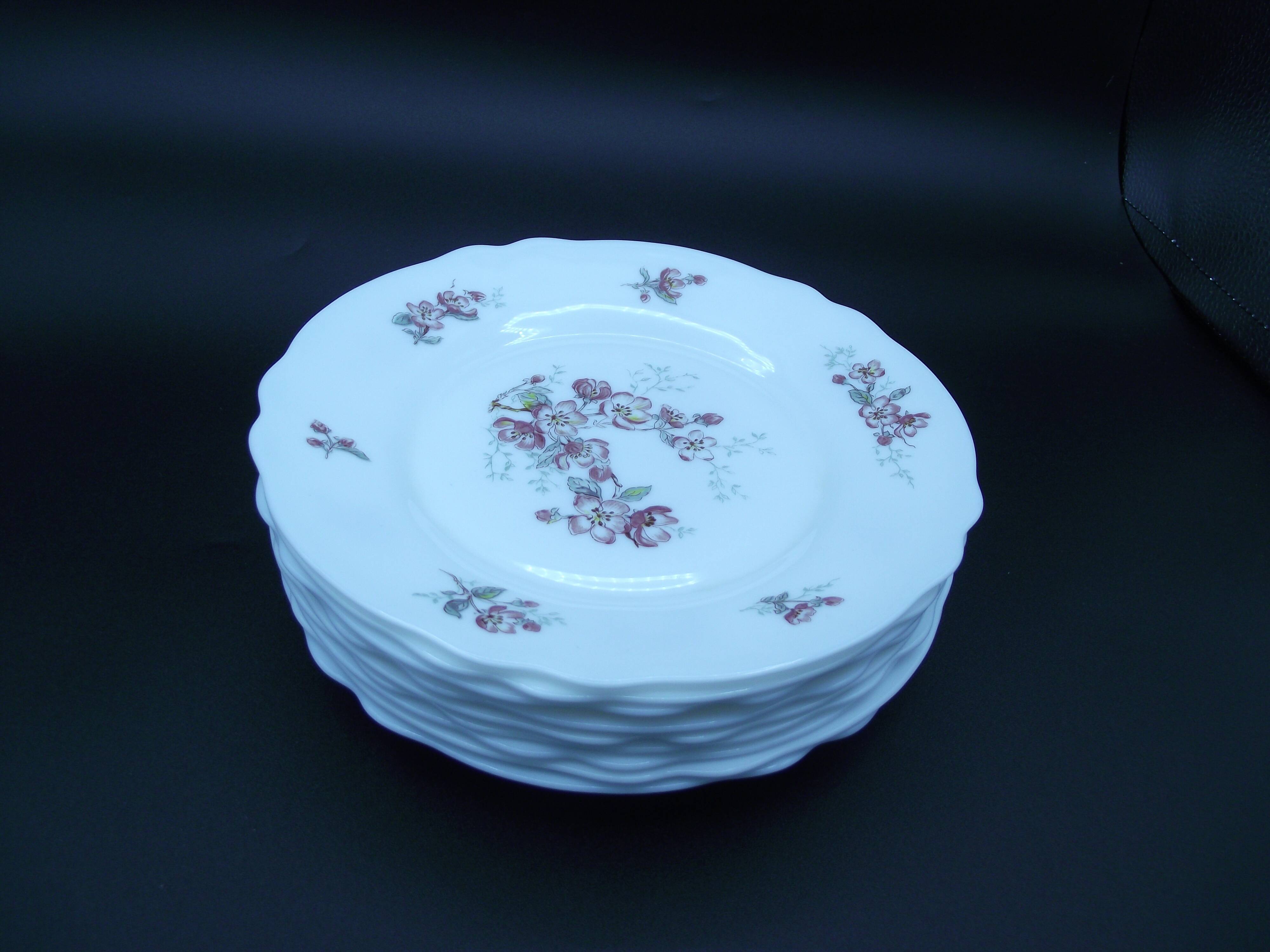 Lot of 9 dessert plates Arcopal France