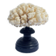 Natural white coral on wooden base turned Napoleon III 19th century cabinet of curiosities