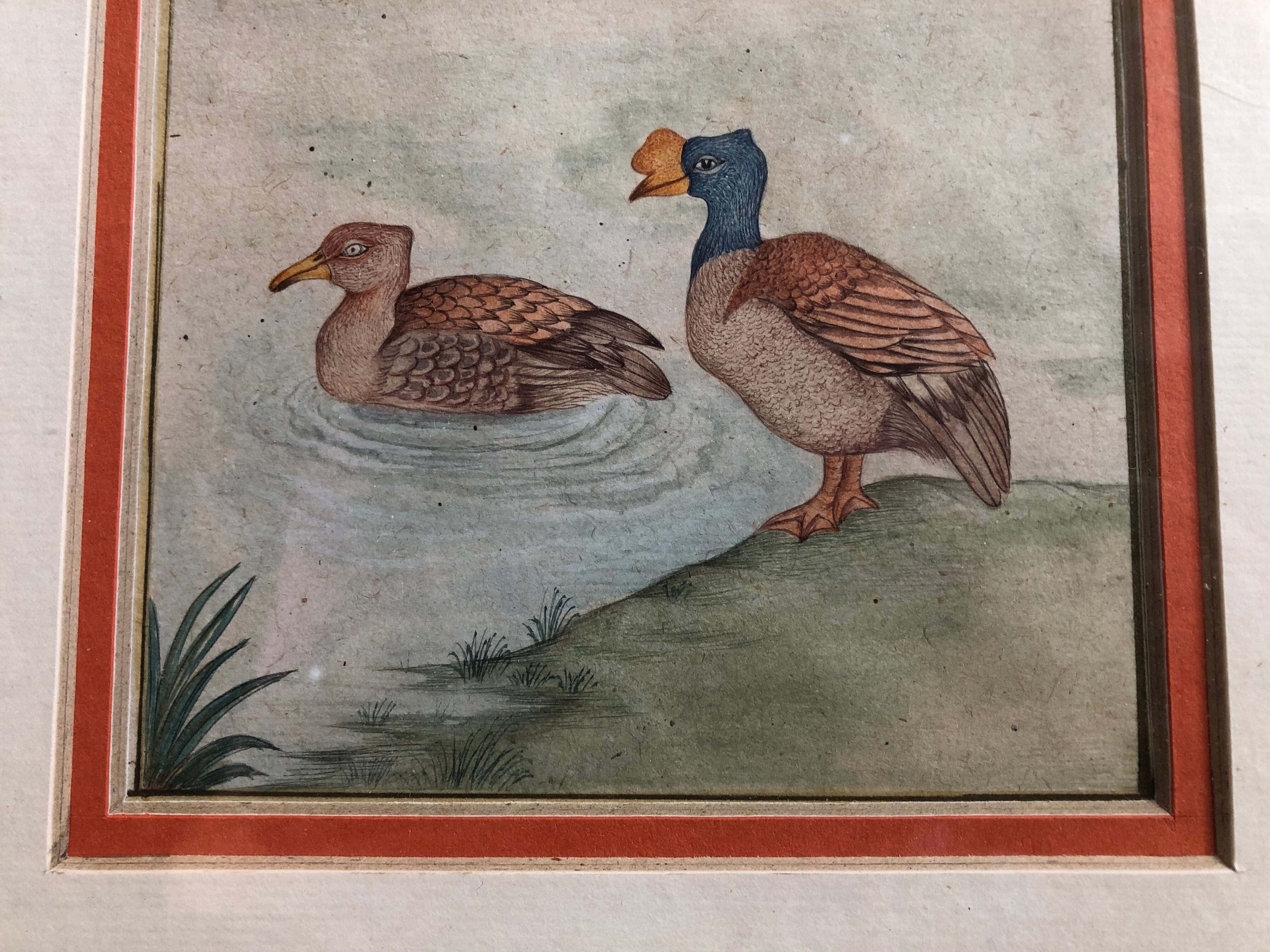 Old painting drawing watercolor duck view + vintage golden frame