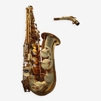 Saxophone Tim Hendson