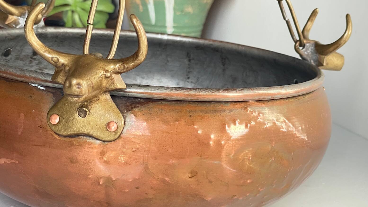 Vintage 3 buffalo hanging planter