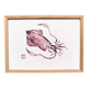 Framed art print, "Print of a squid"