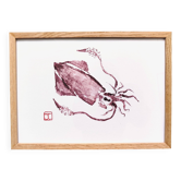 Framed art print, "Print of a squid"