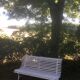 Vintage white garden bench
