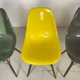 Chaises DSW de Charles & Ray Eames édition Herman Miller