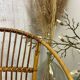 Pair of rattan armchairs