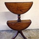 Mute servant in mahogany and mahogany veneer - English work around 1800 - George III period