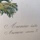Lithograph, antique engraving double anemones, vintage and collector's herbarium style